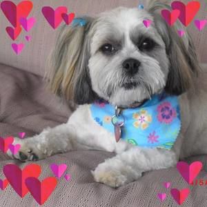 Meet your Posher, Pierre